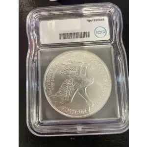 Silver Eagles
