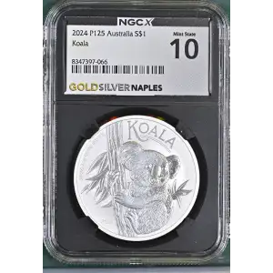 2024 P125 Koala (2)
