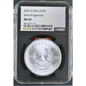 2022 Krugerrand (2)