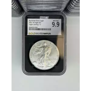 2025 1 oz Silver Eagle  NGC MS69 (LABEL MAY VARY)