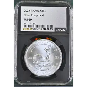 2022 Krugerrand (2)