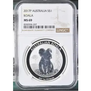 2017P Koala (2)