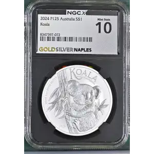 2024 P125 Koala (2)