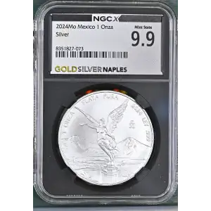 2024Mo Silver (2)
