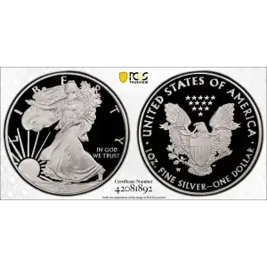 2021-W $1 Silver Eagle - Type 1, DCAM (2)