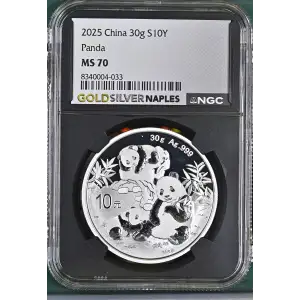 2025 Panda (2)