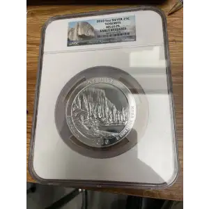 Silver Eagles
