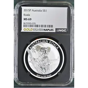 2015P Koala (2)