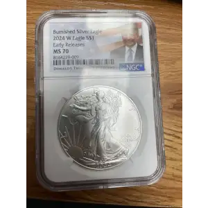 Silver Eagles