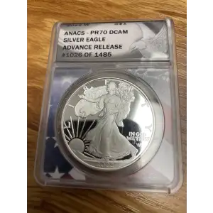 Silver Eagles