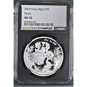 2025 Panda (2)