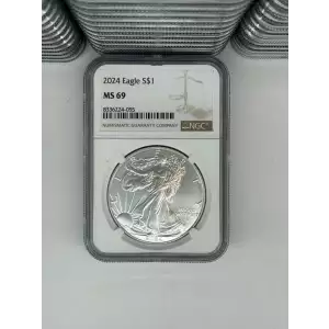 2025 1 oz Silver Eagle  NGC MS69 (LABEL MAY VARY)  (5)