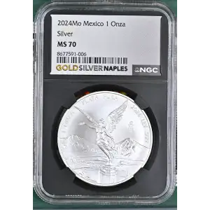 2024Mo Silver (2)