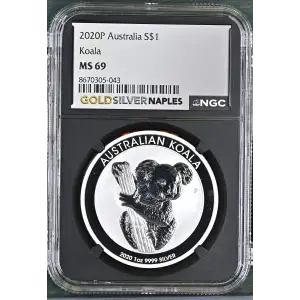 2020P Koala (2)