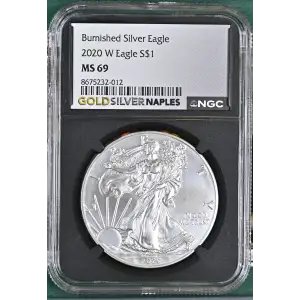 2020 W Burnished Silver Eagle (2)