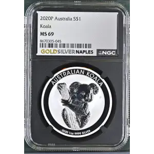 2020P Koala (2)
