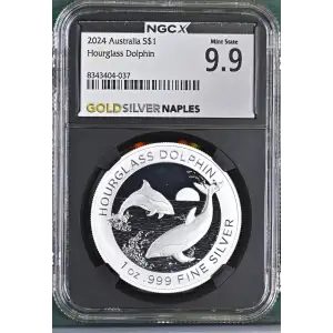 2024 Hourglass Dolphin (2)