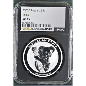 2020P Koala (2)