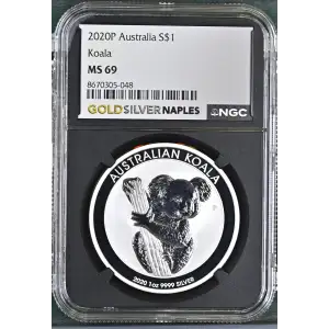 2020P Koala (2)