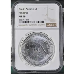 2023P Kangaroo (2)