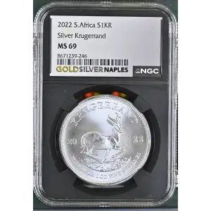 2022 Krugerrand (2)
