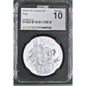 2024 P125 Koala (2)