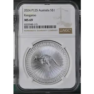 2024 P125 Kangaroo (2)