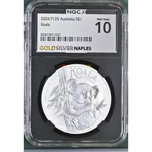 2024 P125 Koala (2)