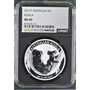 2011P Koala (2)