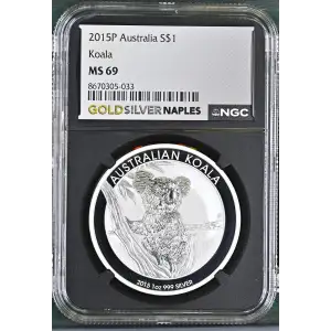 2015P Koala (2)