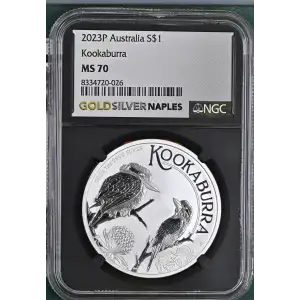 2023P Kookaburra (2)