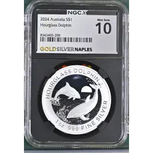 2024 Hourglass Dolphin (2)