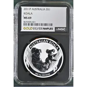 2011P Koala (2)