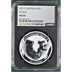 2011P Koala (2)