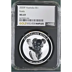 2020P Koala (2)