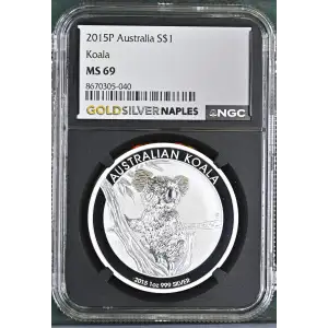 2015P Koala (2)