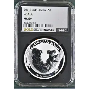 2011P Koala (2)