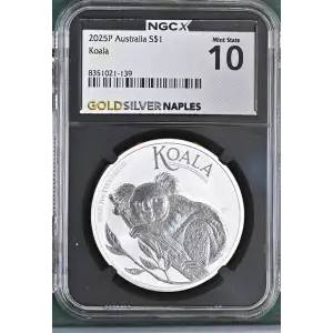 2025P Koala (2)