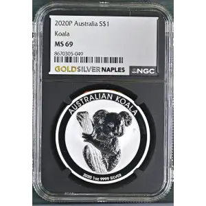 2020P Koala (2)