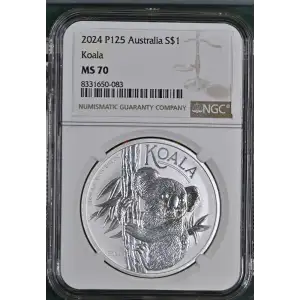 2024 P125 Koala (2)