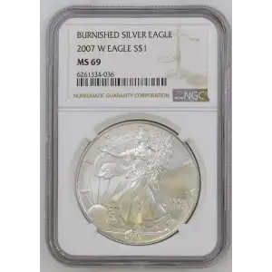 2007 W BURNISHED SILVER EAGLE (2)