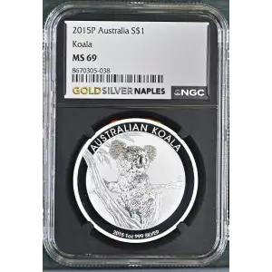 2015P Koala (2)