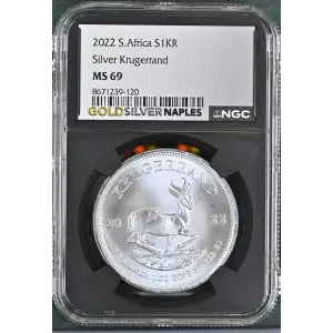 2022 Krugerrand (2)