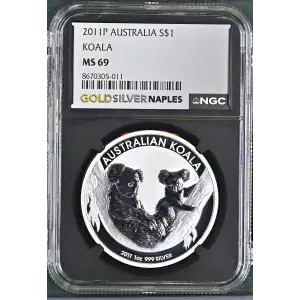 2011P Koala (2)