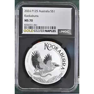 2024 P125 Kookaburra (2)