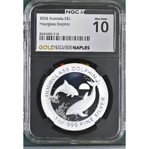 2024 Hourglass Dolphin (2)