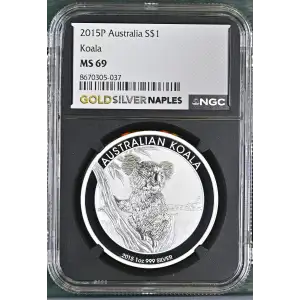 2015P Koala (2)