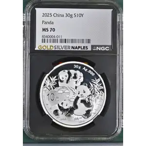 2025 Panda (2)