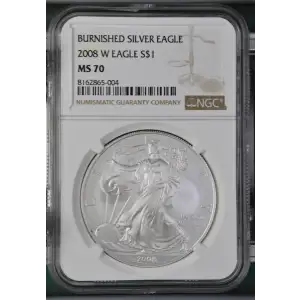 2008 W BURNISHED SILVER EAGLE (2)