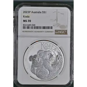 2023P Koala (2)